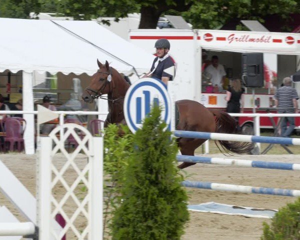 Reitturnier Heiligenwald 2024