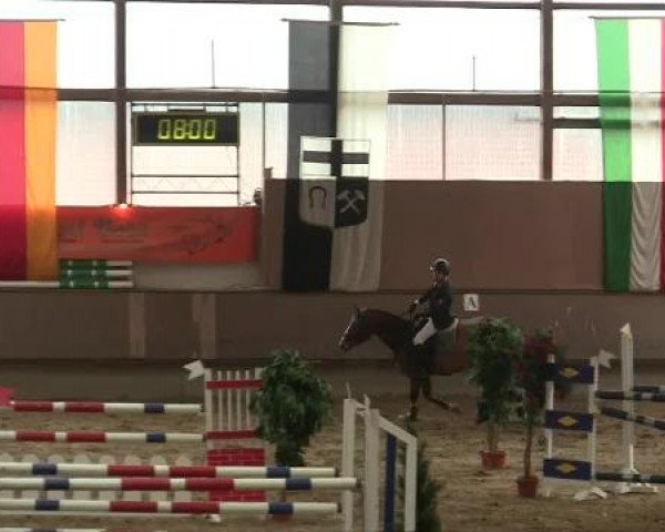 Hallen-Reit- und Springturnier 2013 beim RV Alt Marl