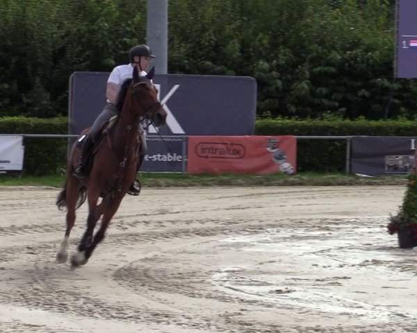 Reitturnier Weiswampach  2024