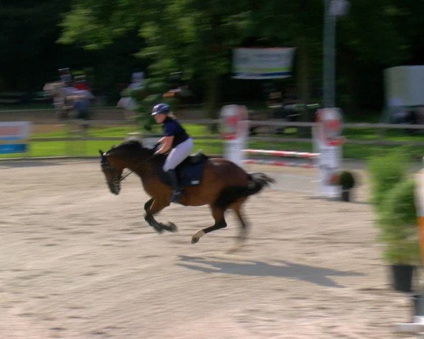Reitturnier Barlo-Bocholt 2024