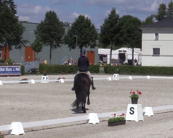Reitturnier Neustadt/Dosse 2024
