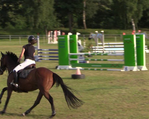 Reitturnier Gardelegen 2024