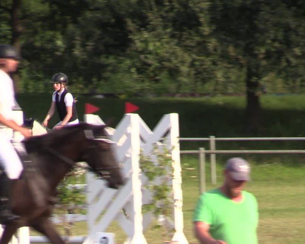 Reitturnier Gardelegen 2024