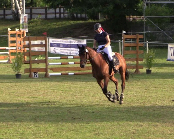 Reitturnier Gardelegen 2024