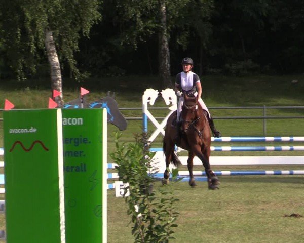 Reitturnier Gardelegen 2024