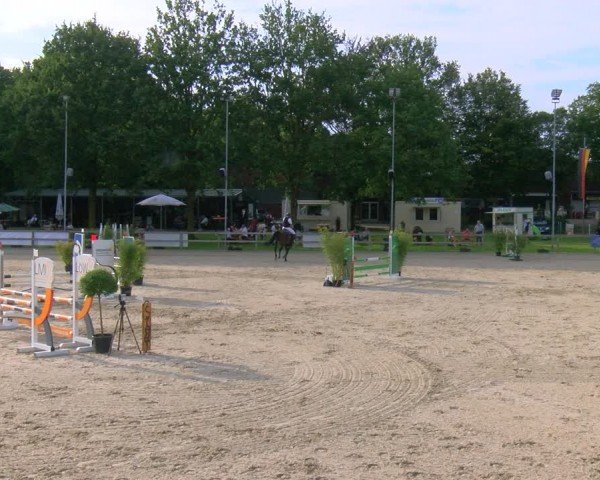 Reitturnier Barlo-Bocholt 2024