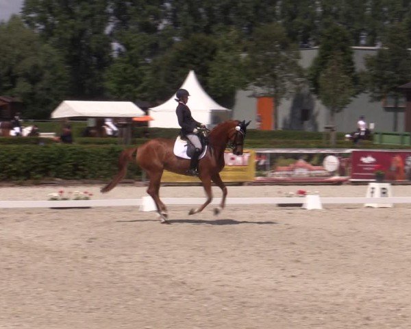 Reitturnier Neustadt/Dosse 2024