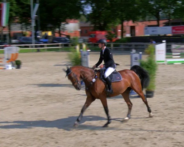 Reitturnier Barlo-Bocholt 2024