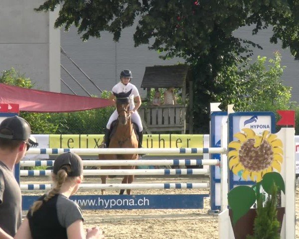 Reitturnier Dagmersellen 2024