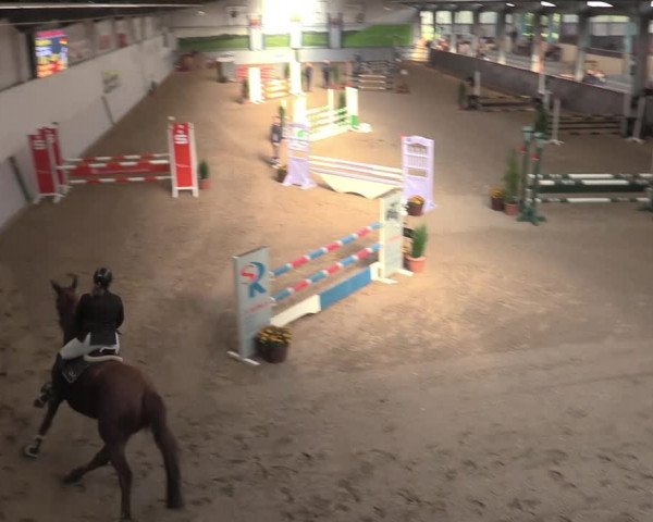 Reitturnier Legden 2021