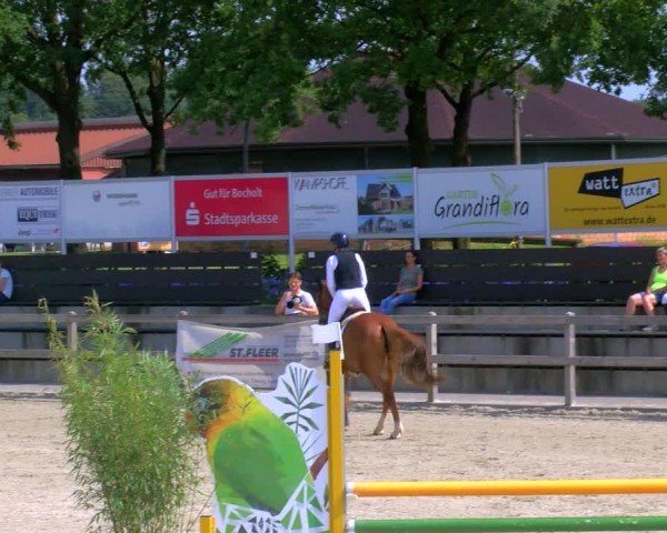 Reitturnier Barlo-Bocholt 2024