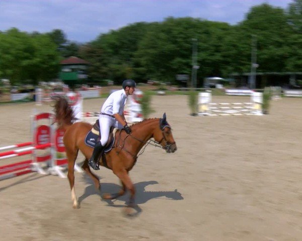 Reitturnier Barlo-Bocholt 2024