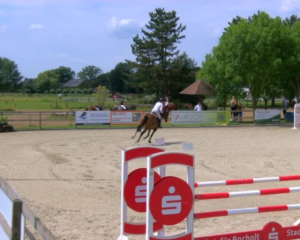 Reitturnier Barlo-Bocholt 2024