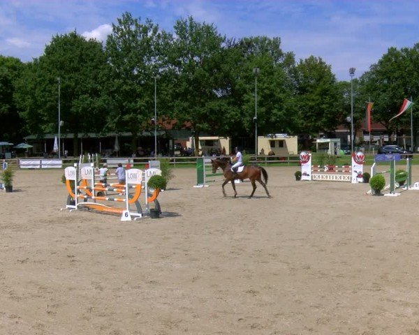 Reitturnier Barlo-Bocholt 2024