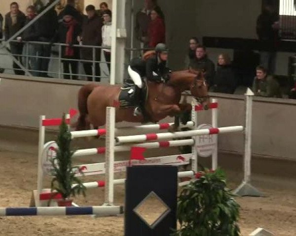 Hallen-Reit- und Springturnier 2013 beim RV Alt Marl