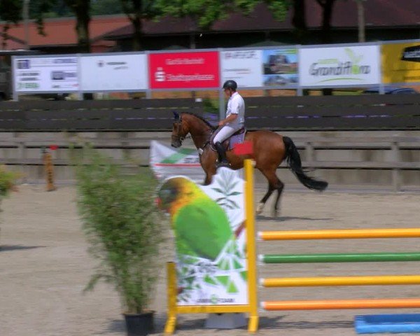 Reitturnier Barlo-Bocholt 2024