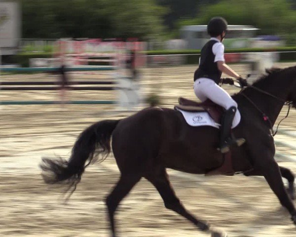 Reitturnier Weiswampach  2024