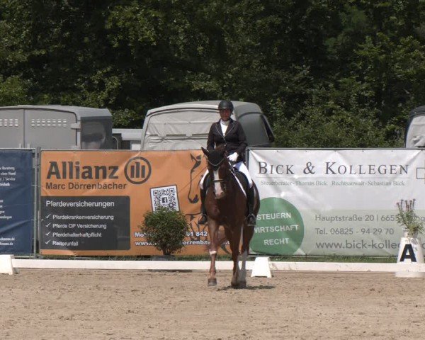 Reitturnier Heiligenwald 2024