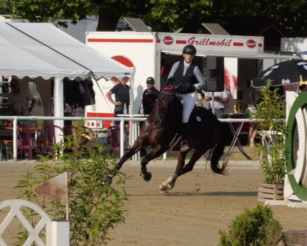 Reitturnier Heiligenwald 2024