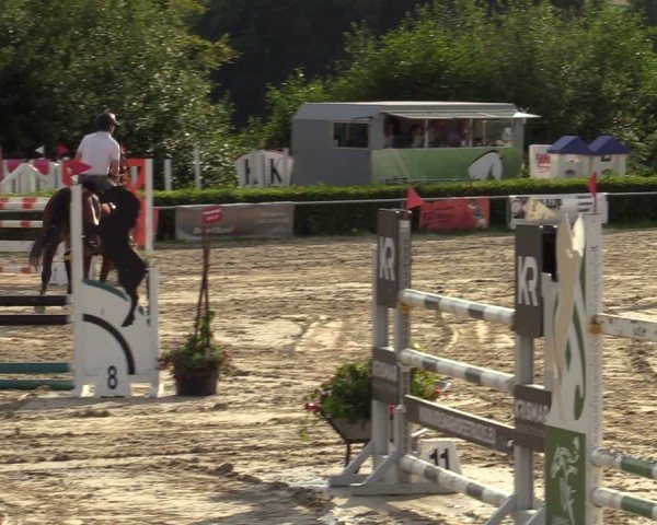 Reitturnier Weiswampach  2024