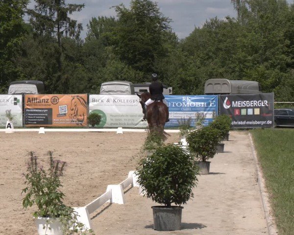 Reitturnier Heiligenwald 2024