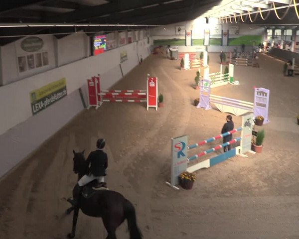 Reitturnier Legden 2021