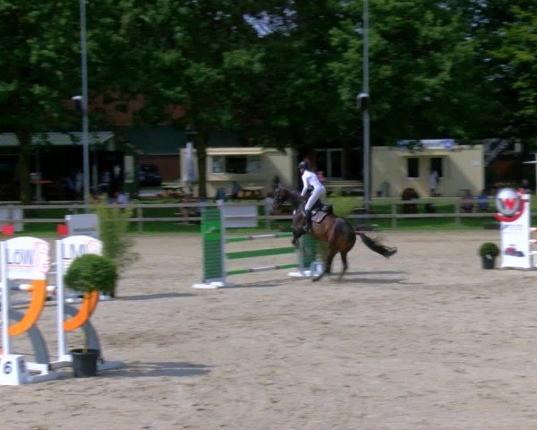 Reitturnier Barlo-Bocholt 2024