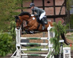 jumper Neela (Oldenburg show jumper, 2013, from Nabab de Rêve)