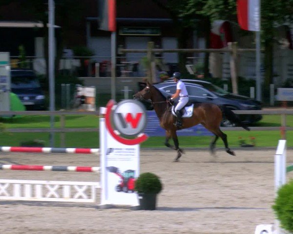 Reitturnier Barlo-Bocholt 2024