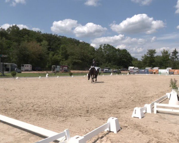 Reitturnier Heiligenwald 2024