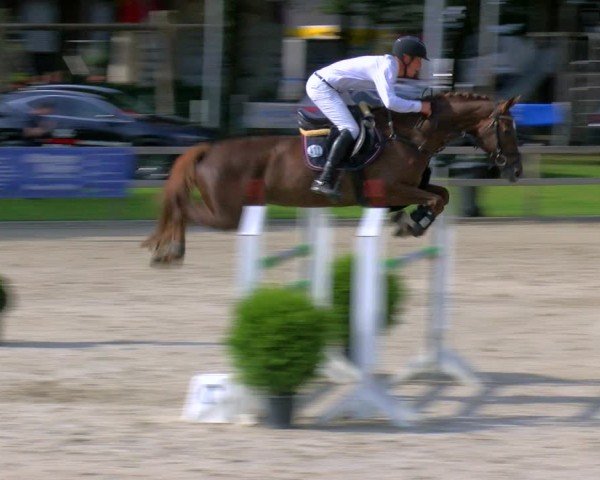 Reitturnier Barlo-Bocholt 2024
