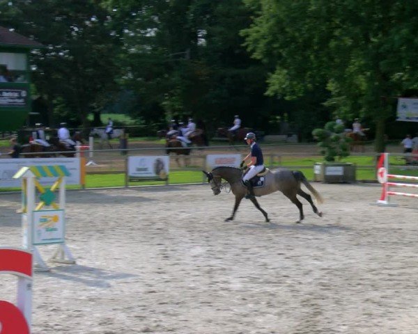 Reitturnier Barlo-Bocholt 2024