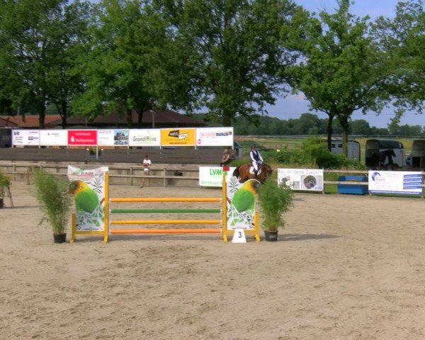 Reitturnier Barlo-Bocholt 2024