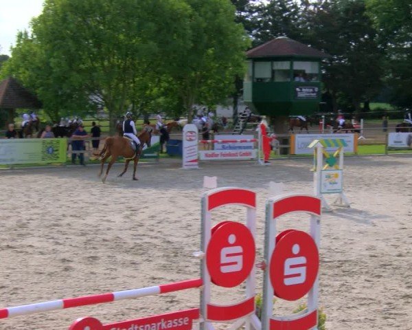 Reitturnier Barlo-Bocholt 2024