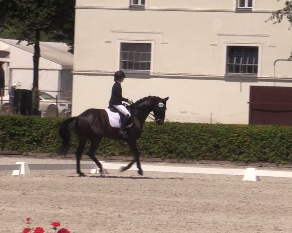 Reitturnier Neustadt/Dosse 2024