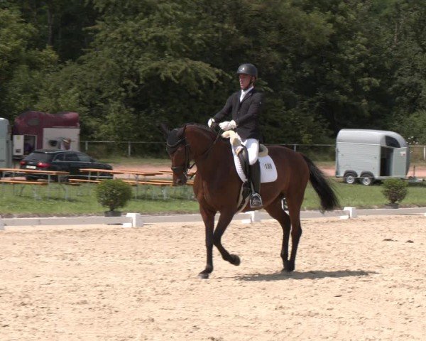 Reitturnier Heiligenwald 2024