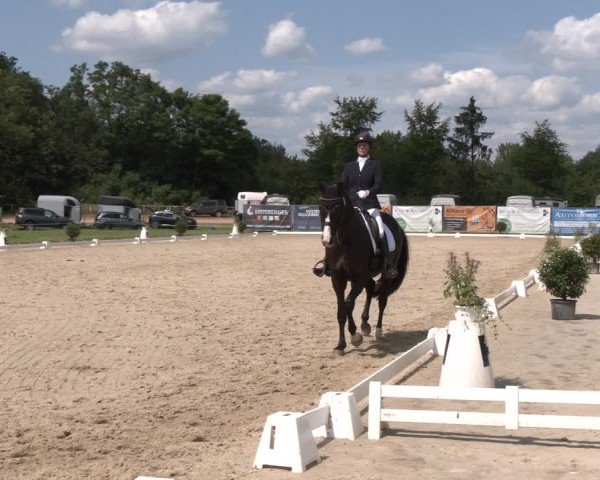 Reitturnier Heiligenwald 2024