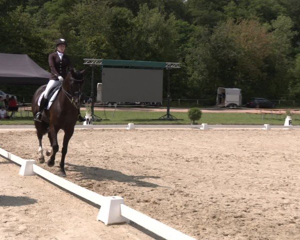 Reitturnier Heiligenwald 2024