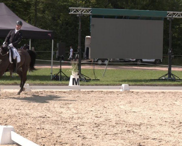 Reitturnier Heiligenwald 2024