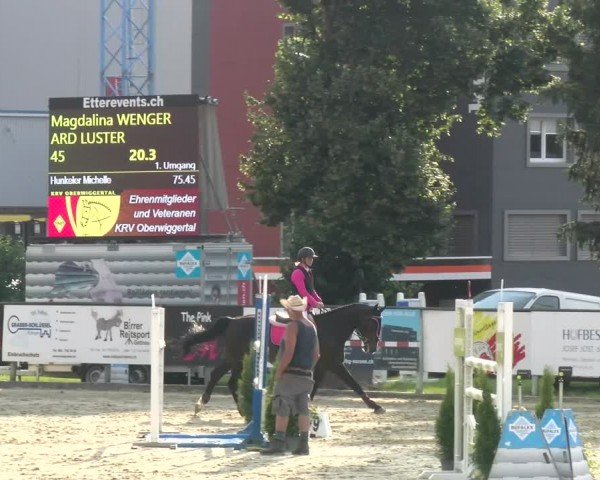 Reitturnier Dagmersellen 2024