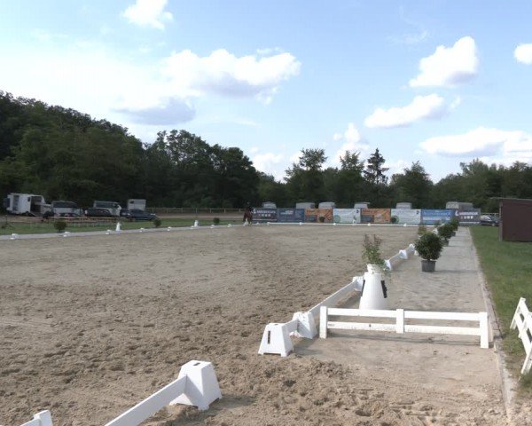 Reitturnier Heiligenwald 2024