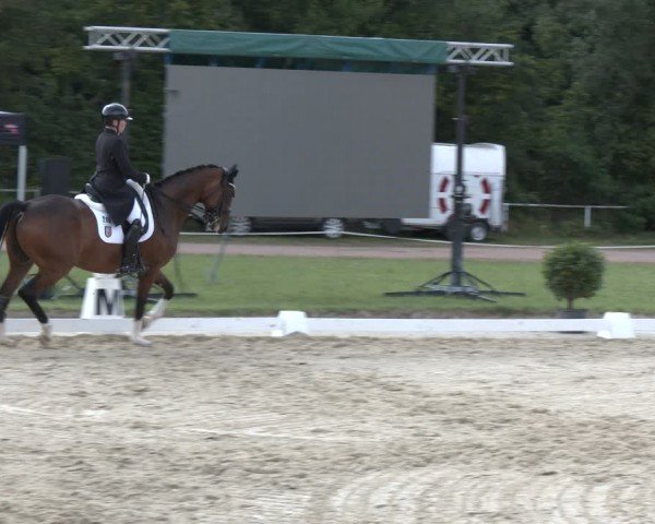 Reitturnier Heiligenwald 2024