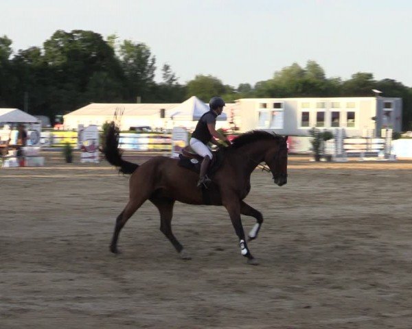 Reitturnier Neustadt/Dosse 2024