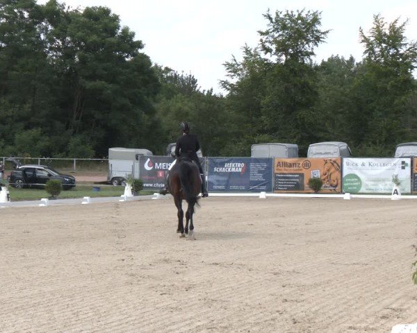 Reitturnier Heiligenwald 2024