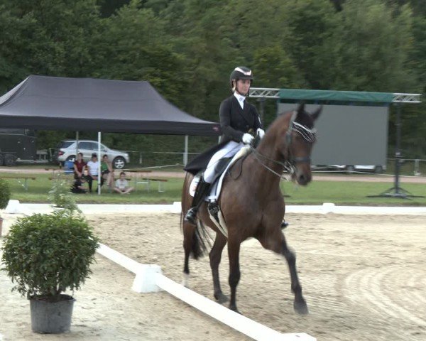 Reitturnier Heiligenwald 2024