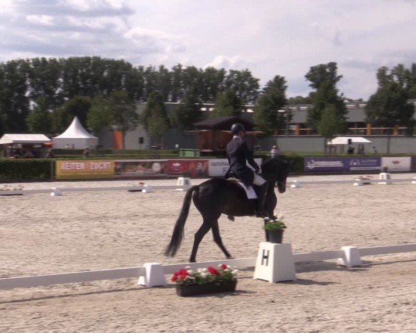 Reitturnier Neustadt/Dosse 2024