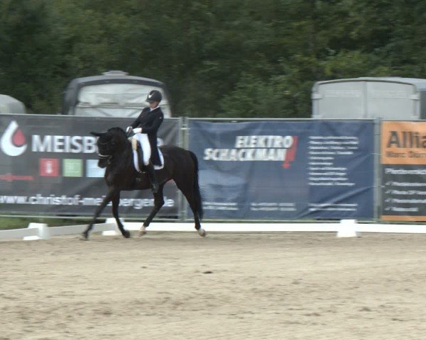 Reitturnier Heiligenwald 2024