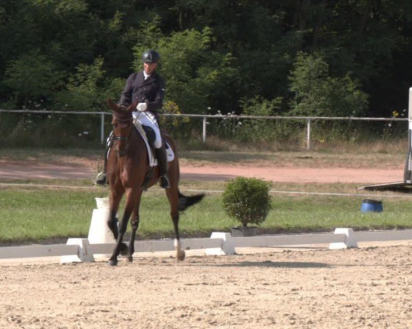 Reitturnier Heiligenwald 2024
