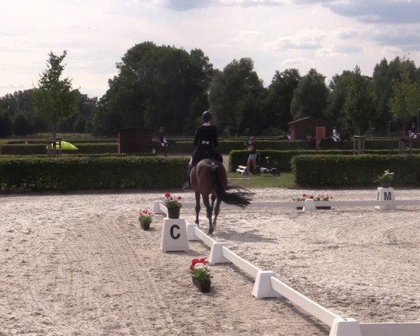 Reitturnier Neustadt/Dosse 2024
