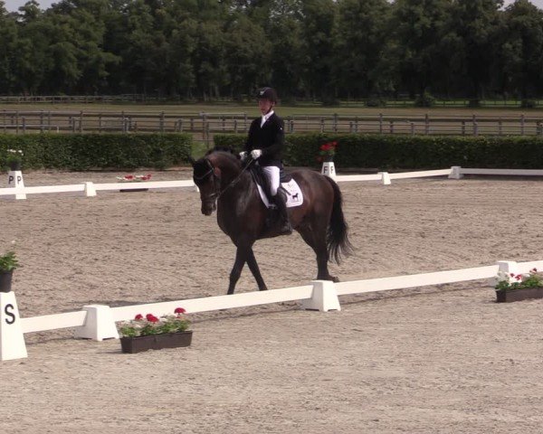 Reitturnier Neustadt/Dosse 2024